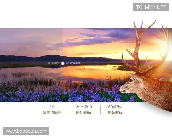 爱奇艺体育官网网页版功能介绍及使用技巧提升你的观影体验 爱奇艺体育官网网页版功能介绍及使用技巧提升你的观影体验